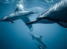 赛点 | 计划再次有变！中国队挺进U23亚洲杯决赛！