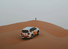 世界杯手机观看-送花环节延续，仪式感拉满！2026上海女子半程马拉松鸣枪起跑，8000名女性跑者用脚步诠释“她力量”