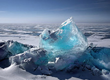 世界杯手机观看-送花环节延续，仪式感拉满！2026上海女子半程马拉松鸣枪起跑，8000名女性跑者用脚步诠释“她力量”